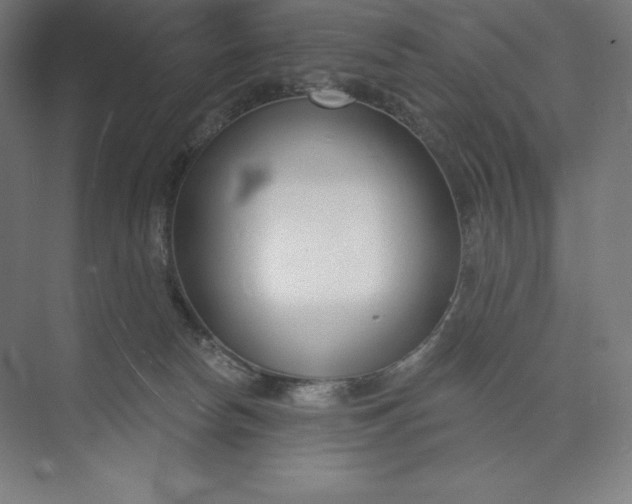 X0000073990178200609061007