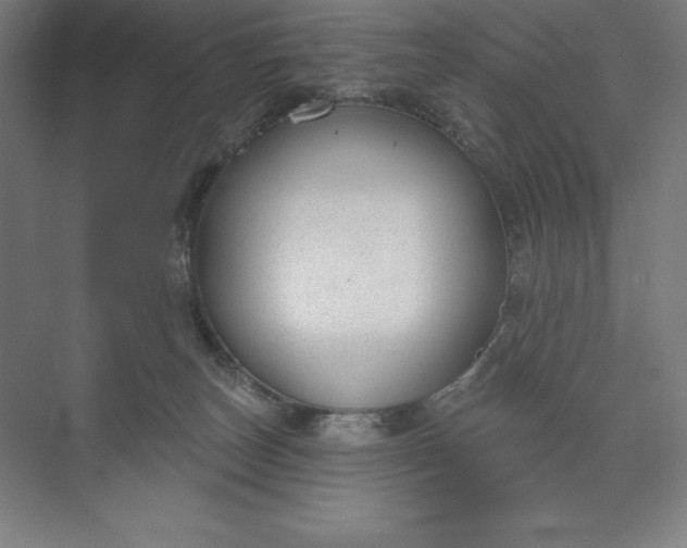 X0000073990179200609061007