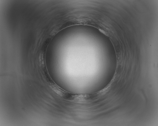 X0000073990182200609061007