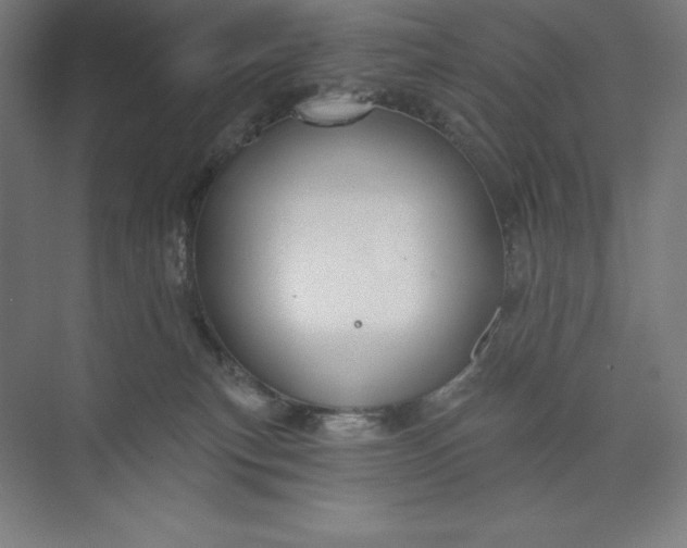 X0000073990183200609061007