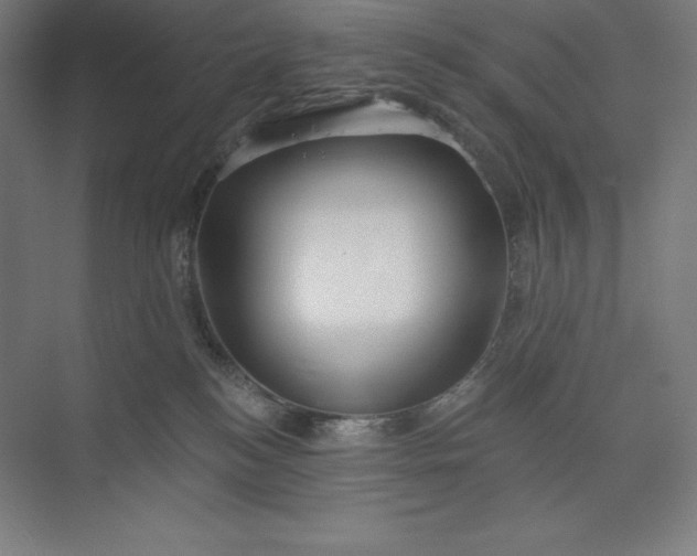 X0000073990184200609061007