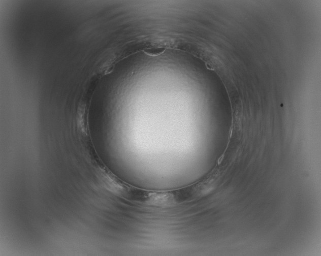 X0000073990185200609061007