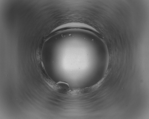 X0000073990186200609061007