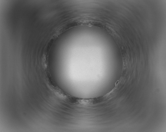 X0000073990187200609061007