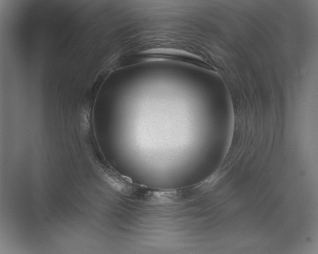 X0000073990188200609061007