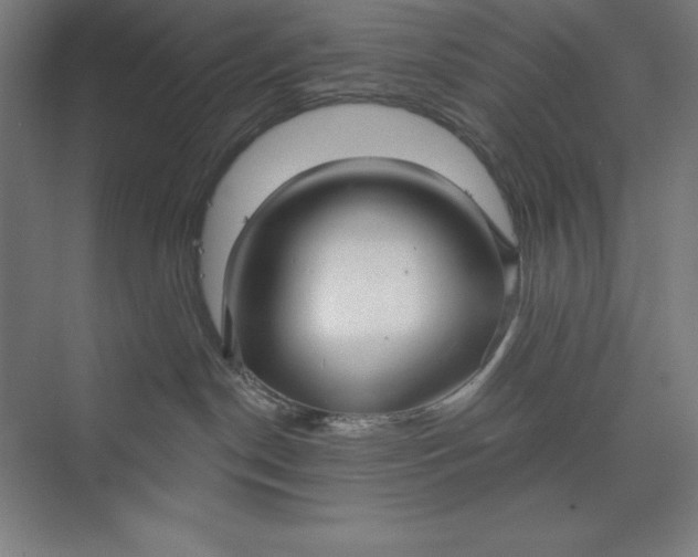 X0000073990190200609061007