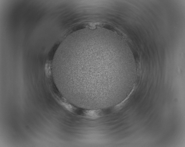 X0000073990191200609061007