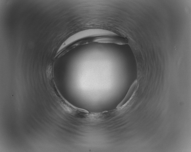 X0000073990192200609061007