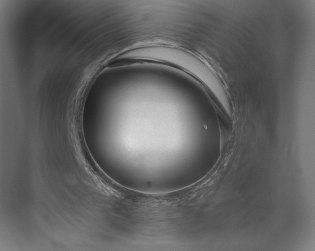 X0000073990193200609061006