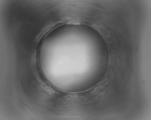 X0000073990194200609061006