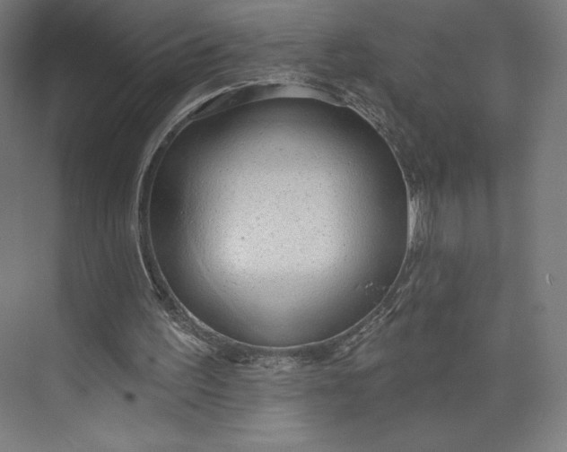 X0000073990195200609061006