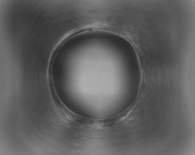 X0000073990196200609061006