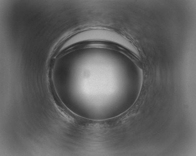 X0000073990197200609061006