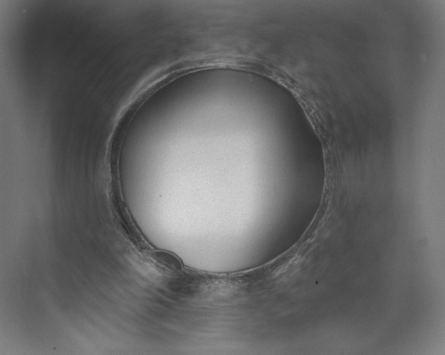 X0000073990198200609061006