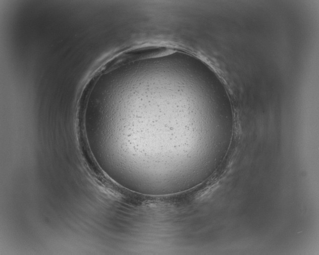 X0000073990199200609061006