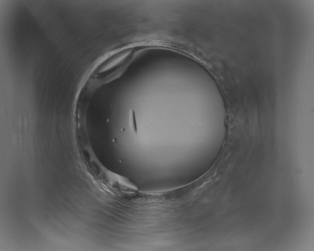 X0000073990200200609061006