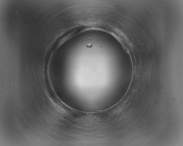 X0000073990201200609061006