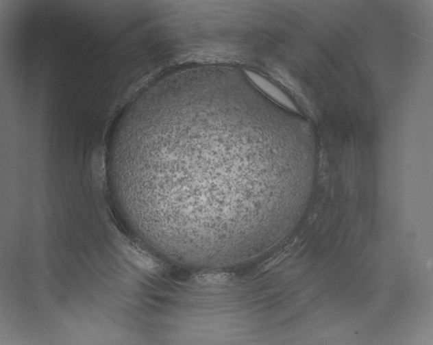 X0000073990202200609061006