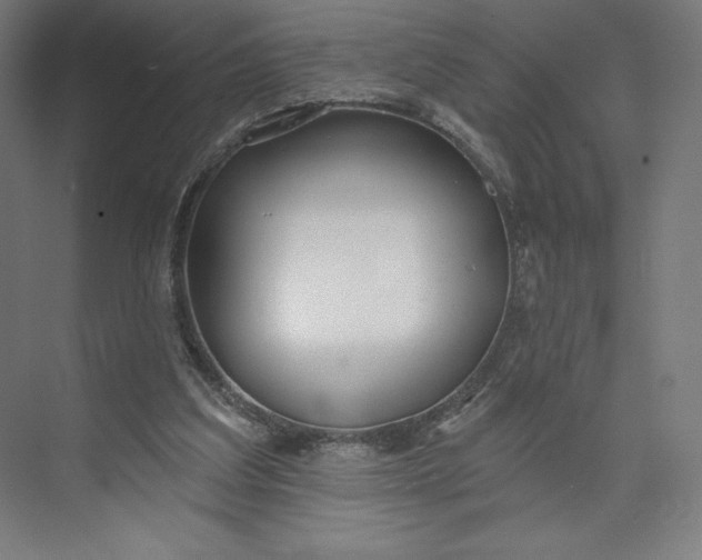 X0000073990203200609061006