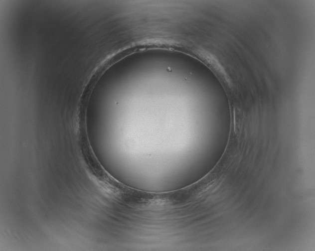 X0000073990204200609061006