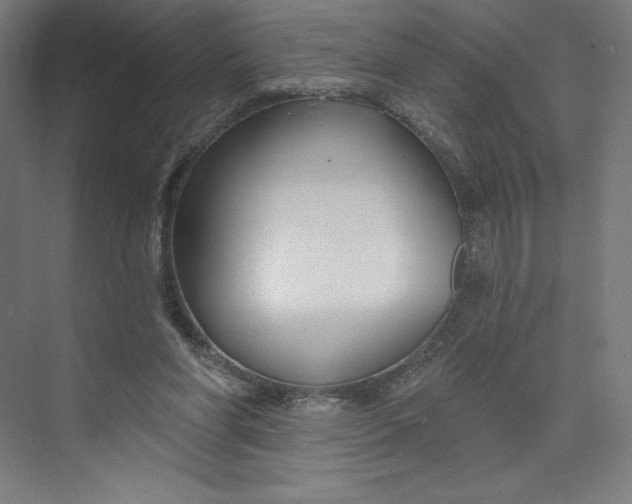 X0000073990206200609061006