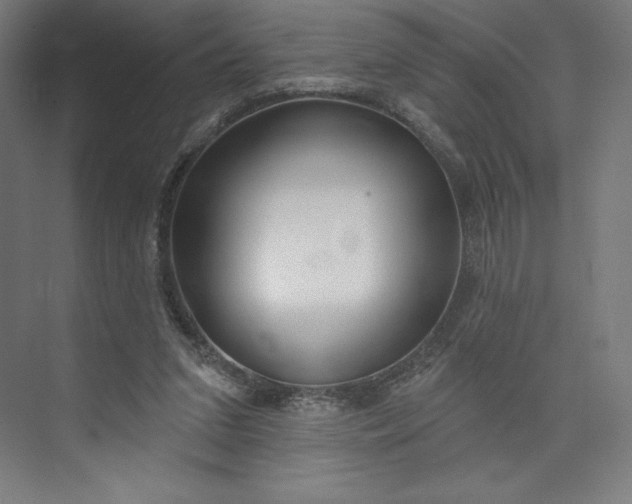 X0000073990207200609061006