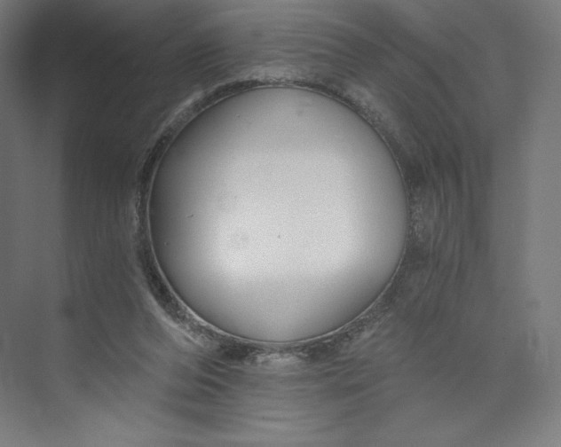 X0000073990208200609061006