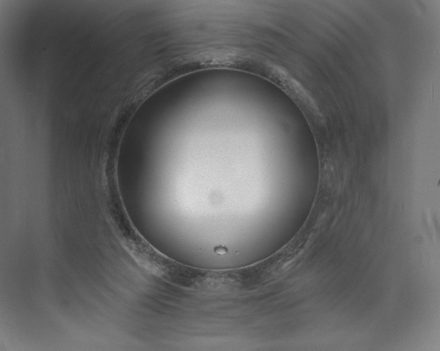 X0000073990209200609061006