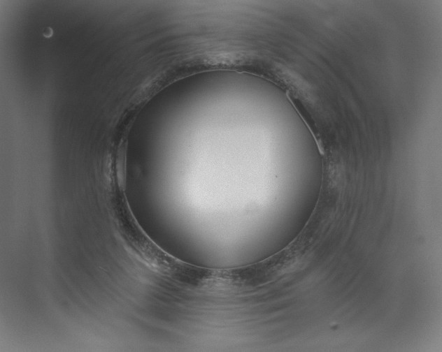 X0000073990211200609061006