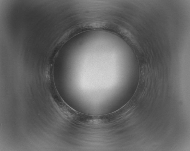 X0000073990212200609061006