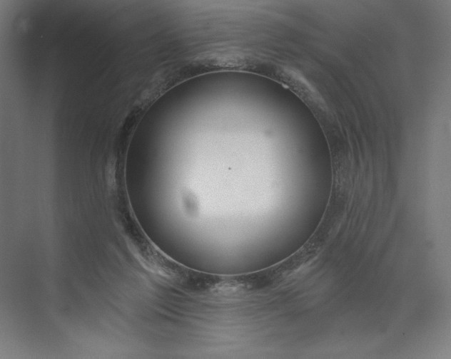 X0000073990213200609061006