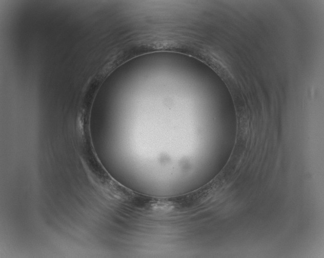 X0000073990214200609061006