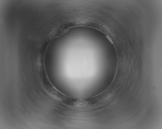 X0000073990215200609061006