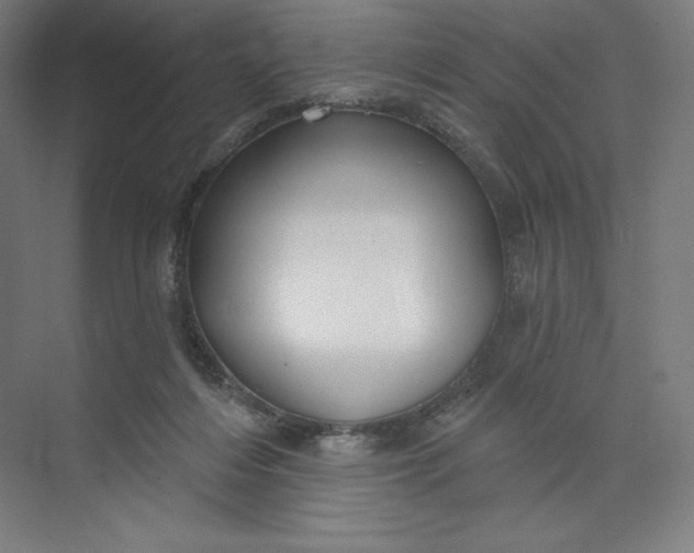 X0000073990216200609061006