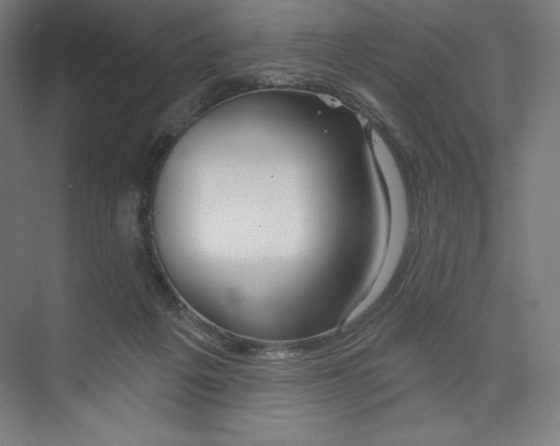 X0000073990217200609061006