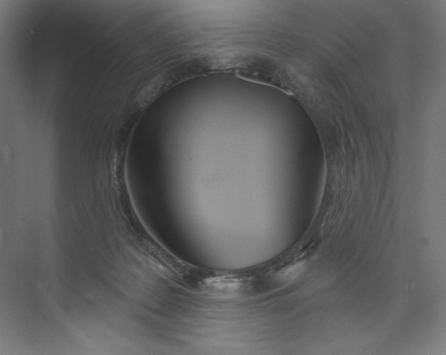 X0000073990219200609061006