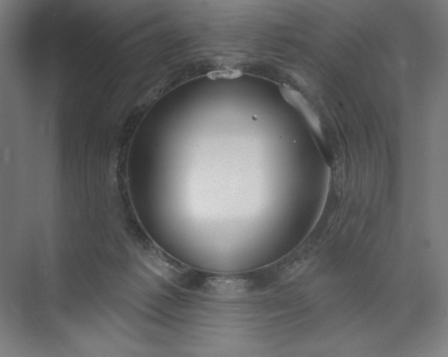 X0000073990221200609061006