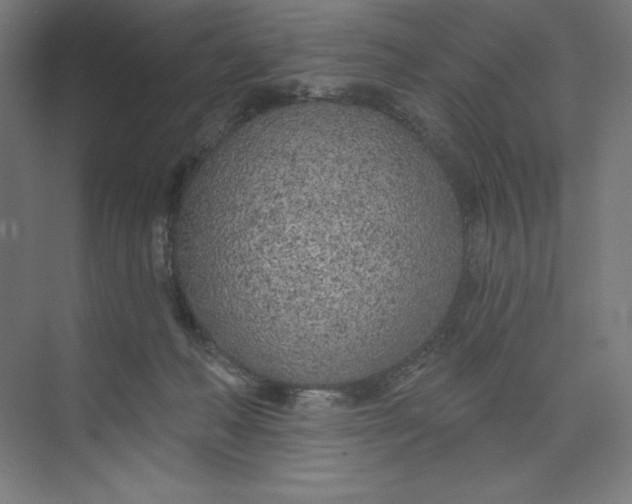 X0000073990222200609061006