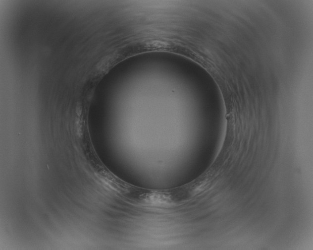 X0000073990223200609061006