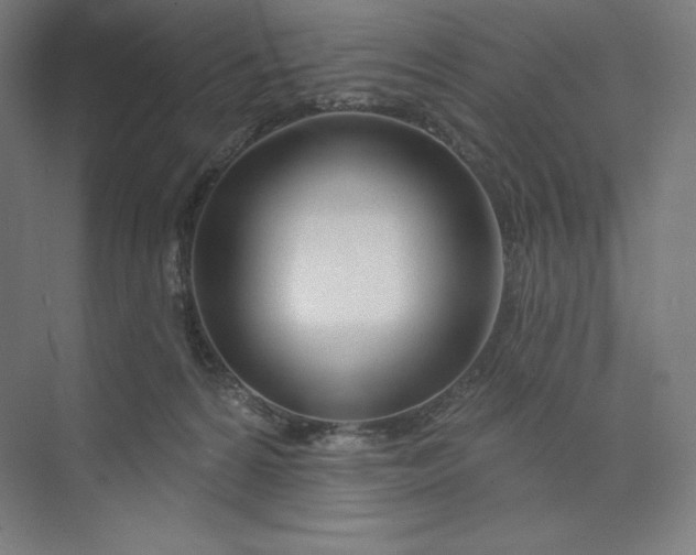 X0000073990224200609061006