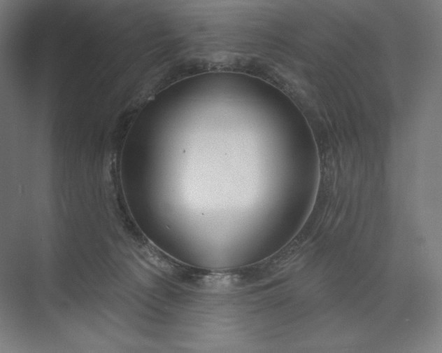 X0000073990225200609061006