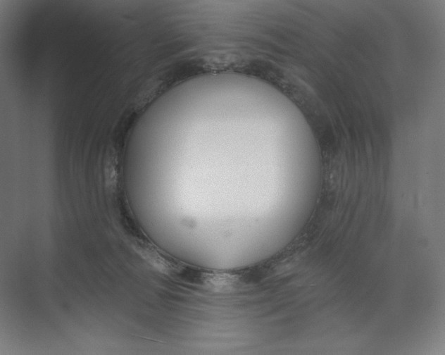 X0000073990226200609061006