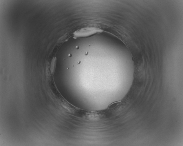 X0000073990228200609061006