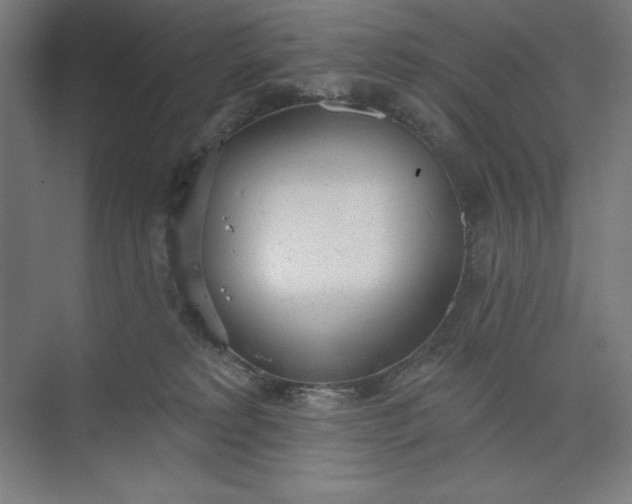 X0000073990229200609061006