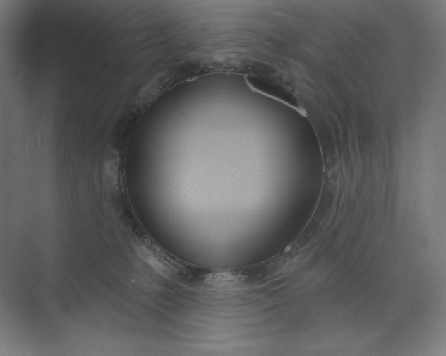 X0000073990231200609061006