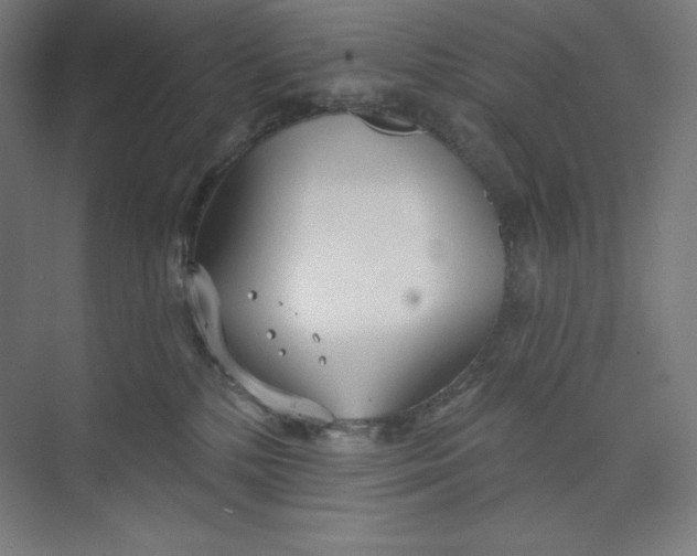 X0000073990232200609061006