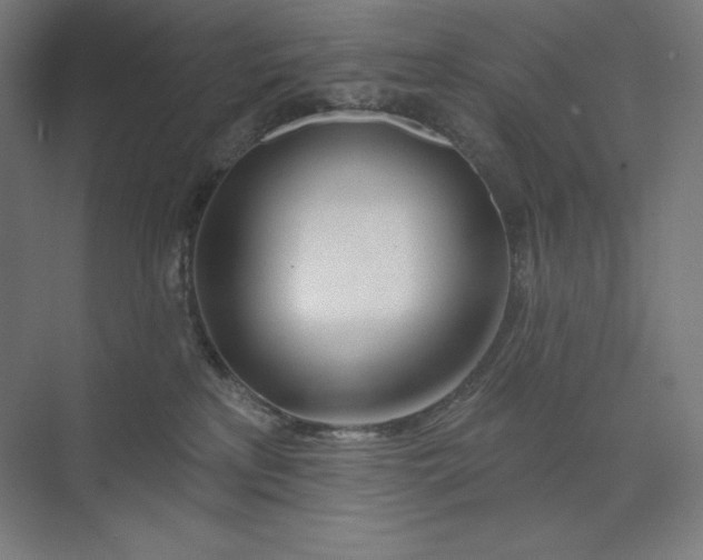 X0000073990233200609061006