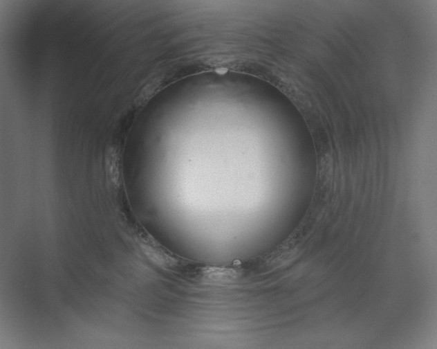 X0000073990234200609061006