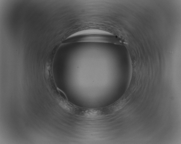 X0000073990235200609061006