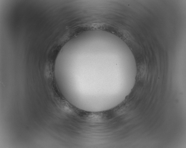 X0000073990236200609061006